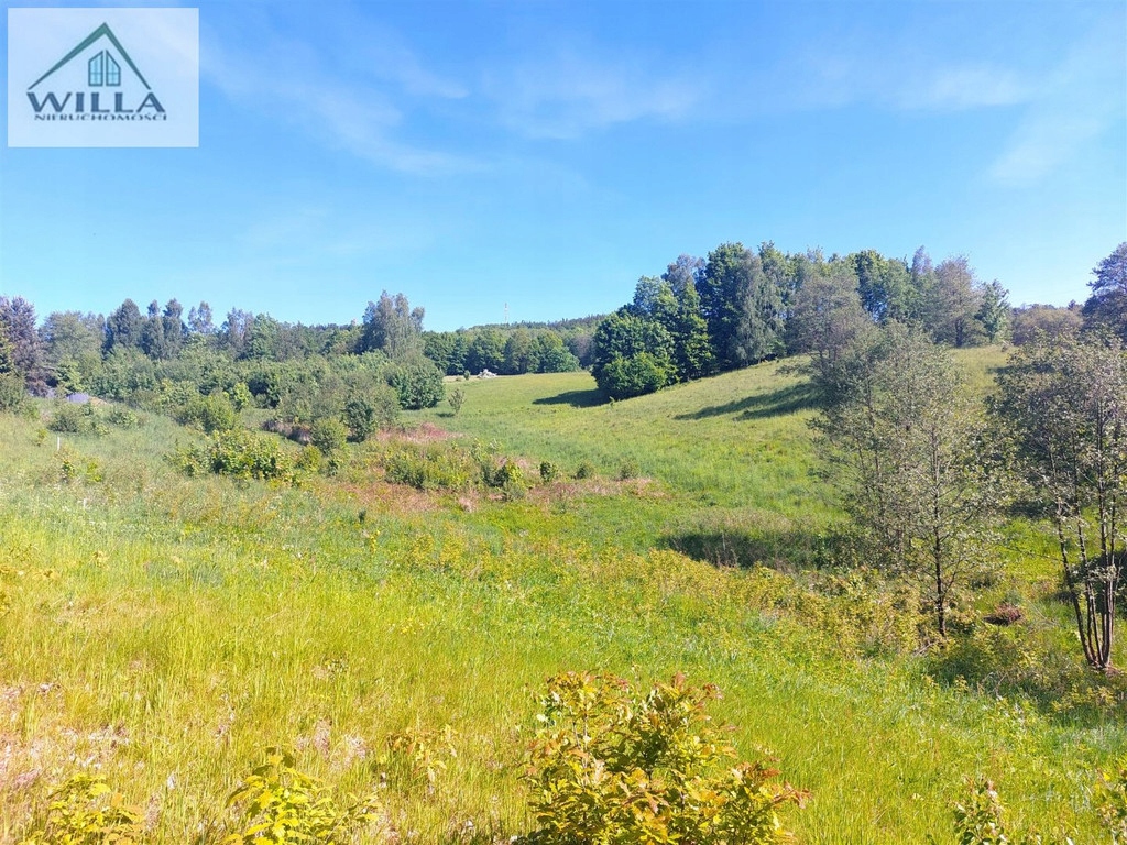 Działka, Olszyniec, Walim, Wałbrzyski, 1884 m²