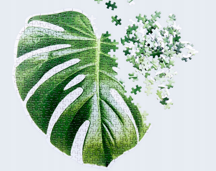 Puzzle DOIY monstera 500 szt. Slow puzzle
