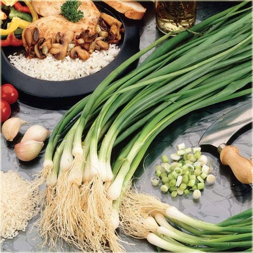 Nasiona. Cebula chińska długa Green Onion 5 szt. N