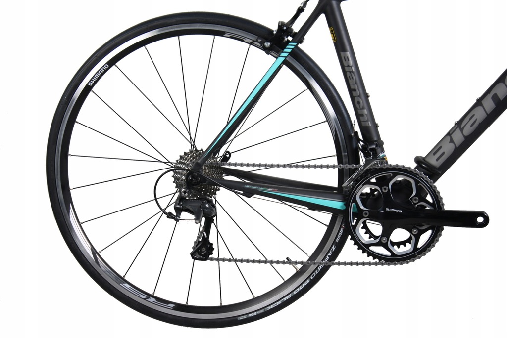 bianchi intrepida carbon