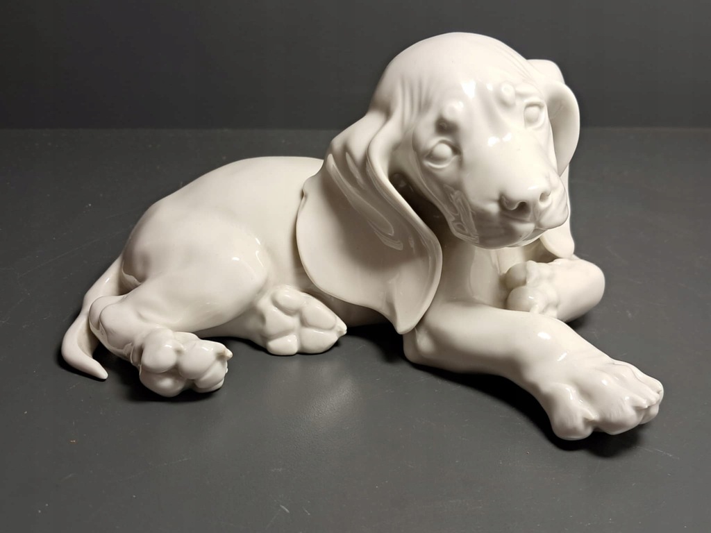 Piekny Allach bialy pies