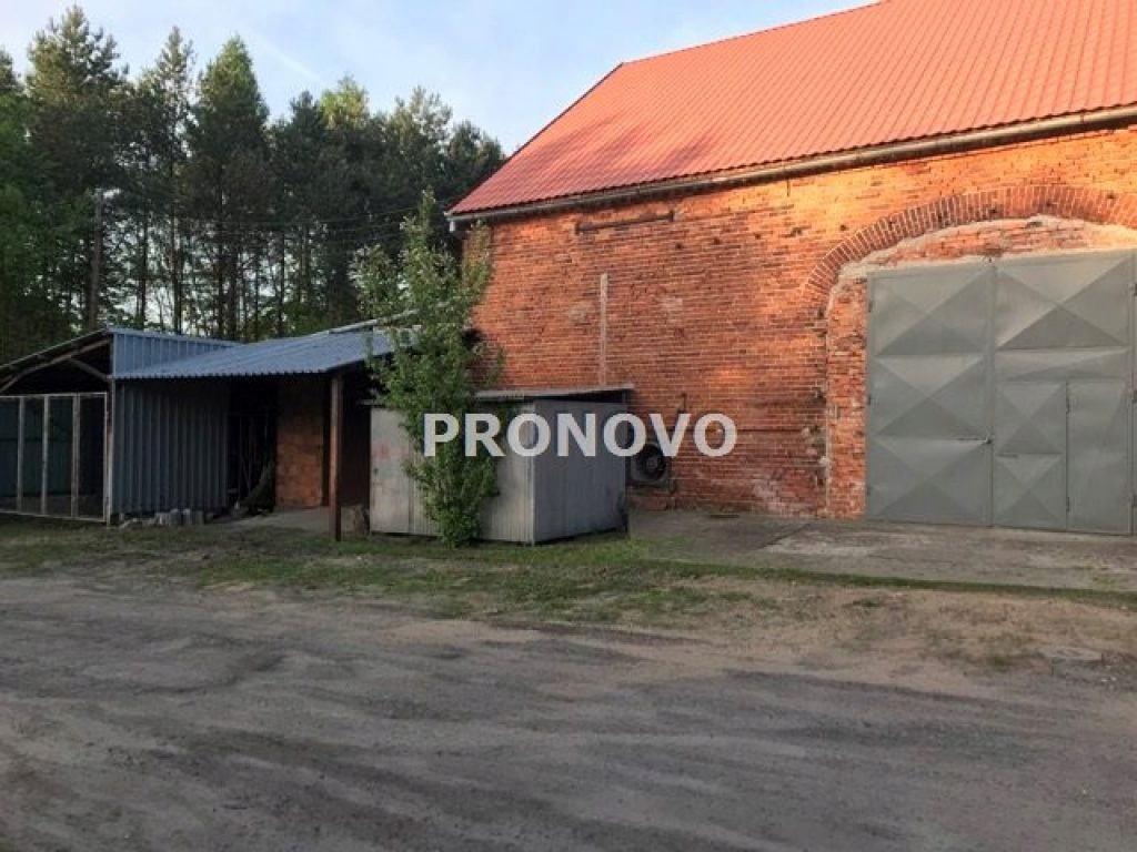 Komercyjne, Wilczyn, 1800 m²