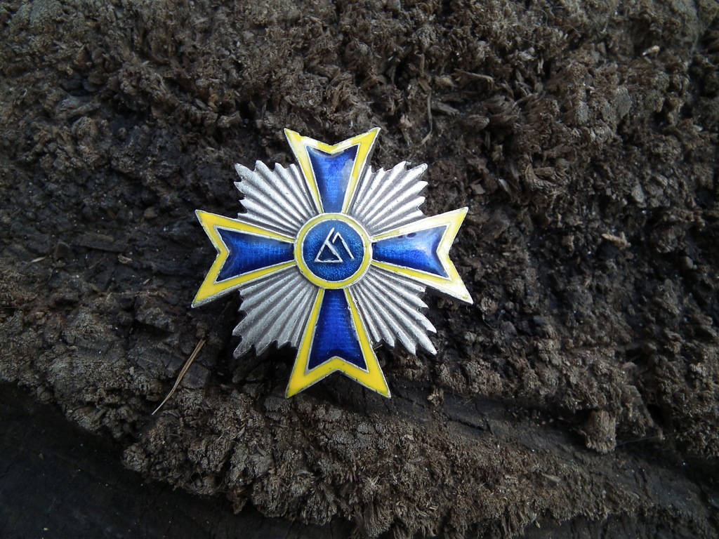 Odznaka pułkowa 67 pułk piechoty Wielkopolskiej-Brodnica