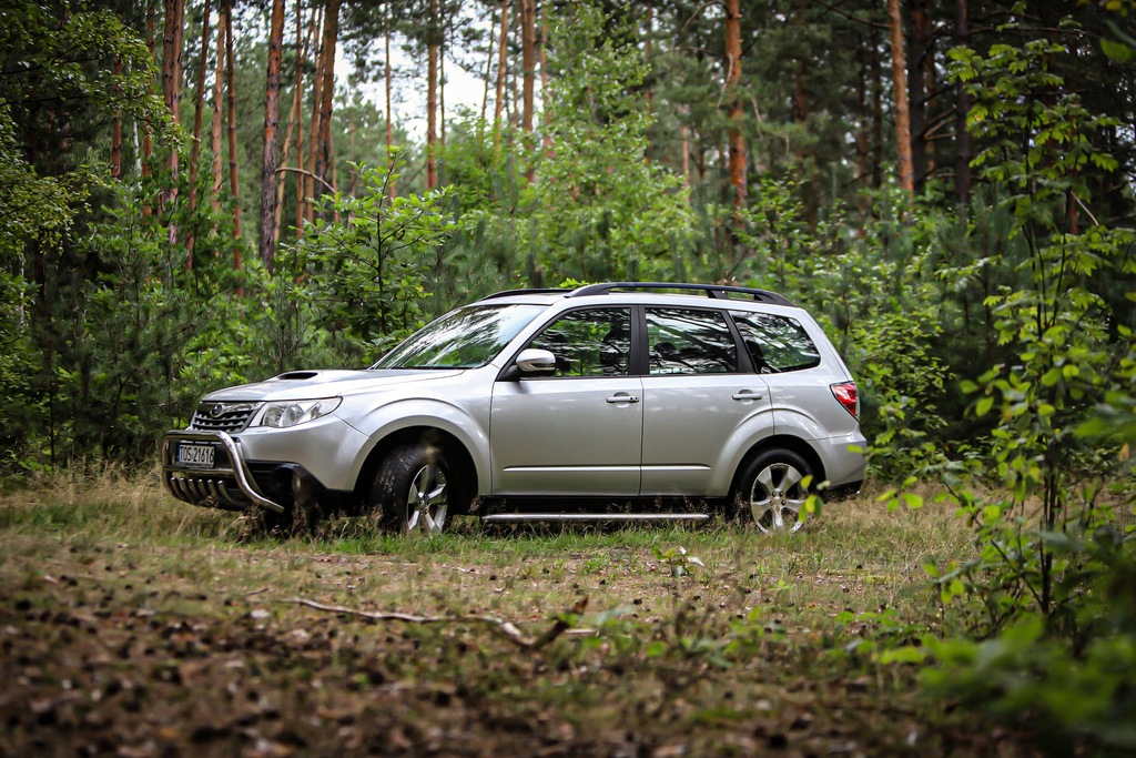 Купить SUBARU FORESTER 4x4 F-ват 23%, самая богатая версия,: отзывы, фото, характеристики в интерне-магазине Aredi.ru