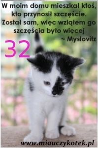 Magnes, który ratuje kocie życie - 32