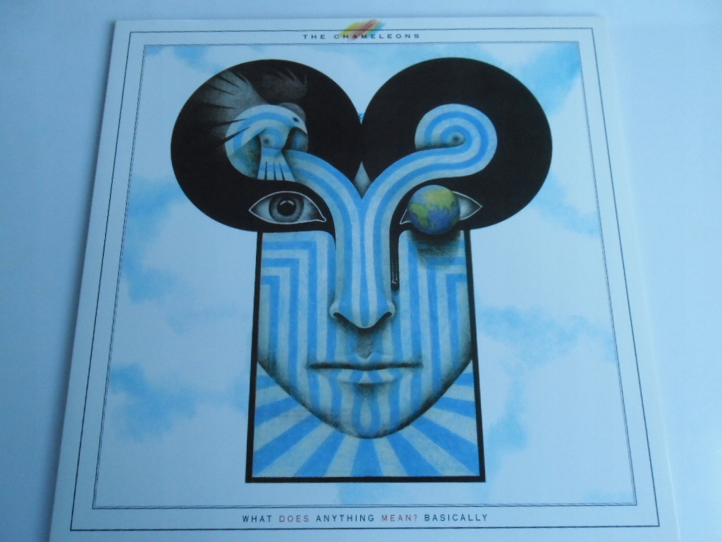 THE CHAMELEONS What Does Anything Mean? Basically - 12684405798