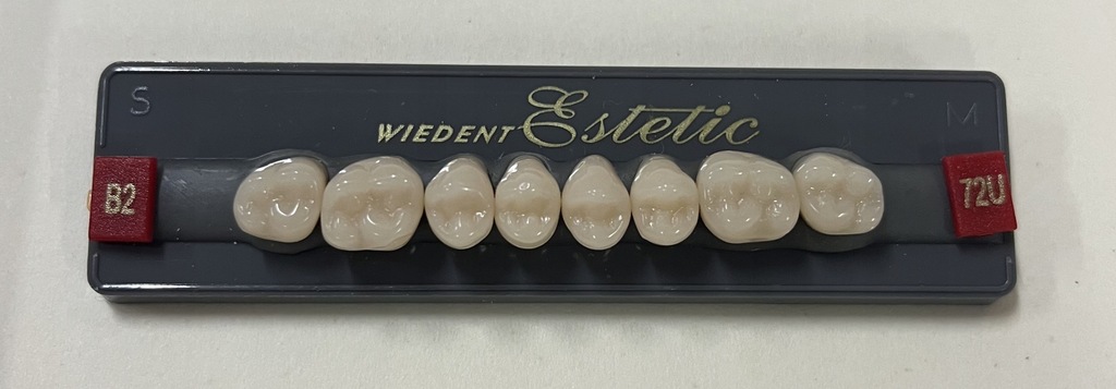 Wiedent Zęby B2 72 góra płytka