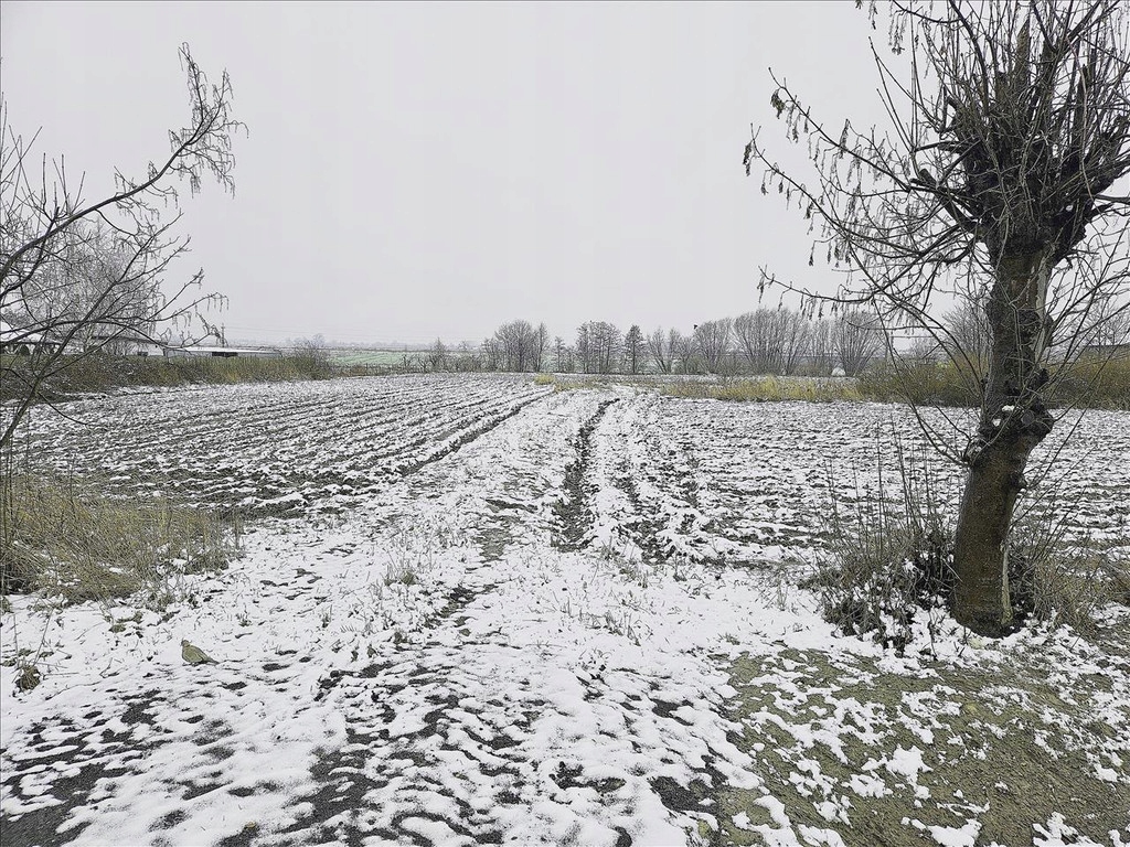 Działka, Lubanów, Błaszki (gm.), 5200 m²