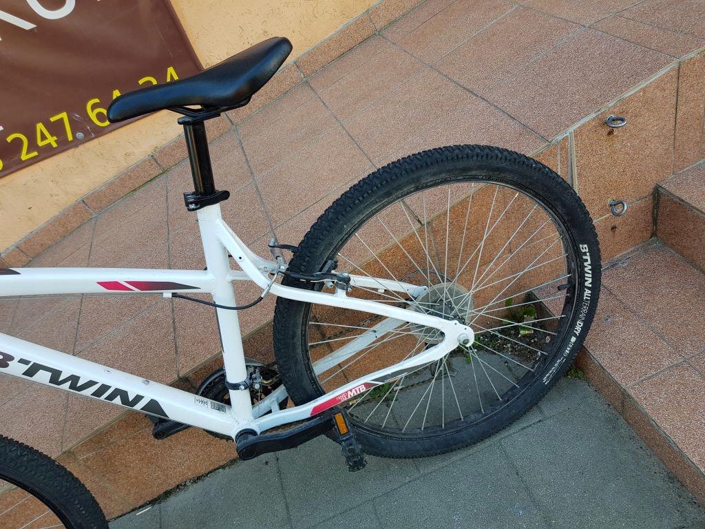 scott scale 80 2012