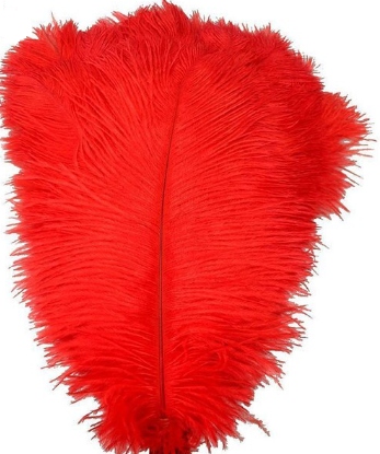 Strusie pióro czerwone 45-50 cm