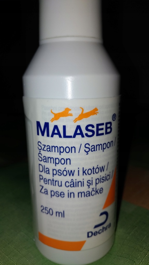 Malaseb Shampoo lupon.gov.ph