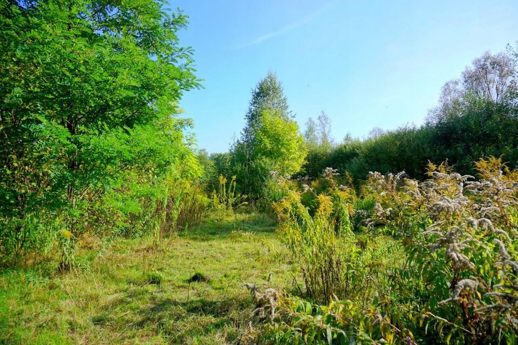 Działka Żabia Wola, grodziski, 1000,00 m²