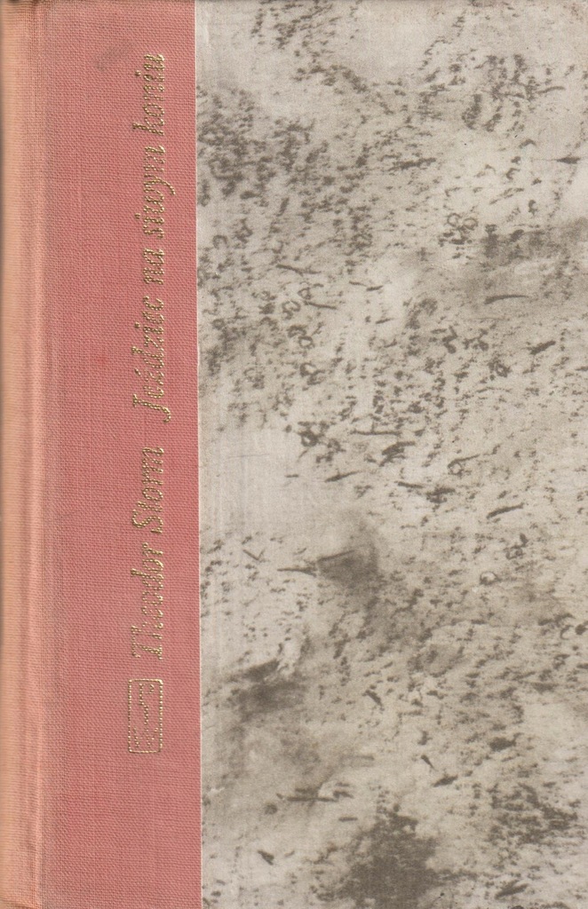 JEŹDZIEC NA SIWYM KONIU Theodor Storm