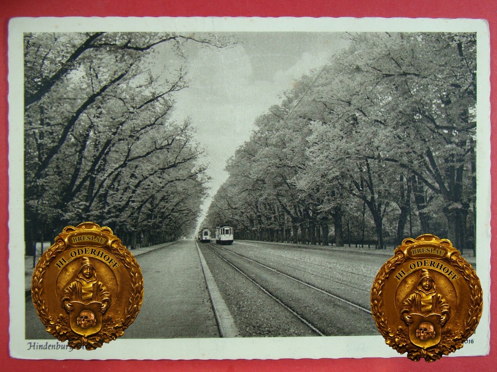 1942 Danzig,Feldpost Lux Express N938