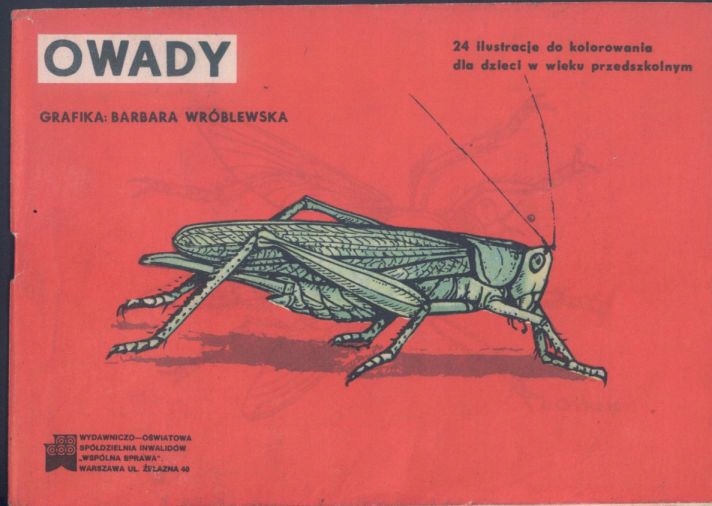 B. Wróblewska - Owady kolorowanka