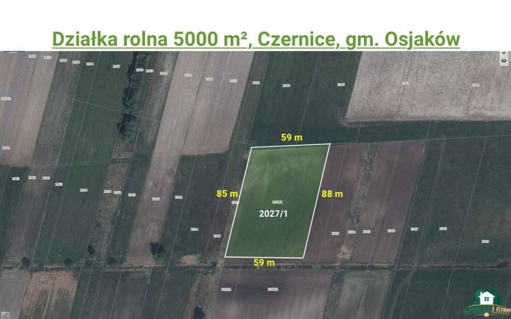 Działka, Czernice, Osjaków (gm.), 5000 m²