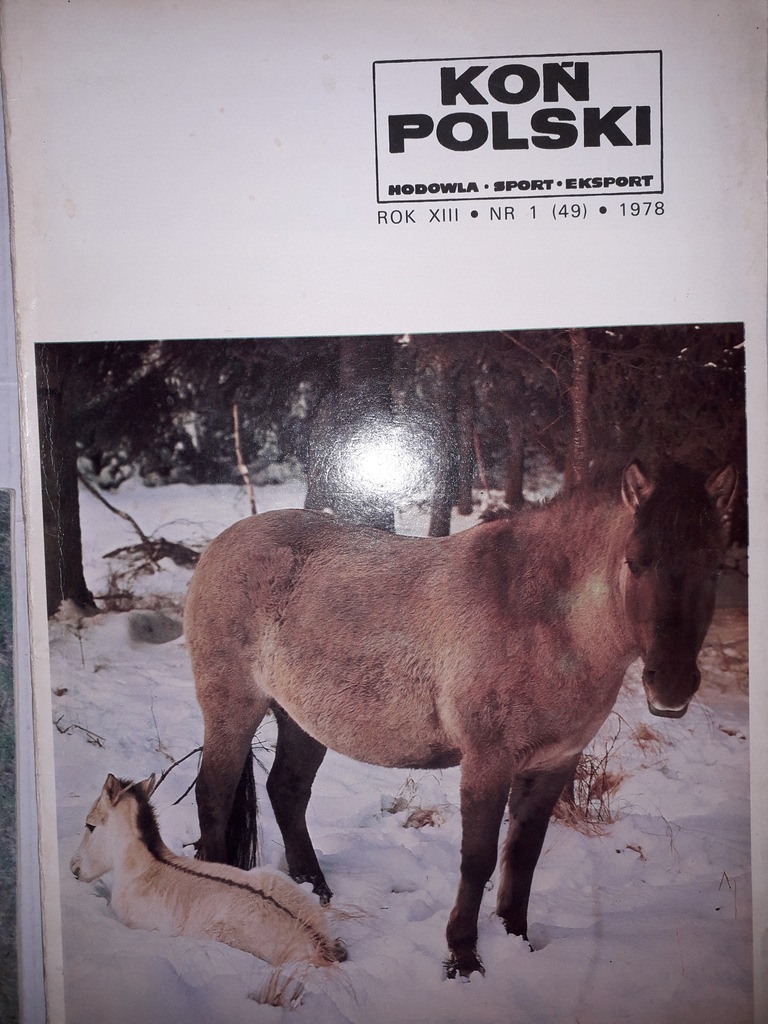 Koń Polski 1 (49) 1978