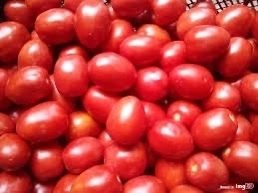 Pomidor Lima Polny 1 Kg na Przetwory od Rolnika