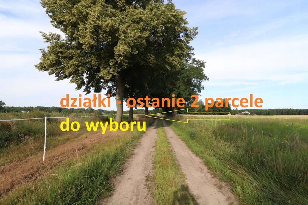 Działka, Czerniejewo, 1215 m²