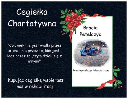 Cegiełka charytatywna