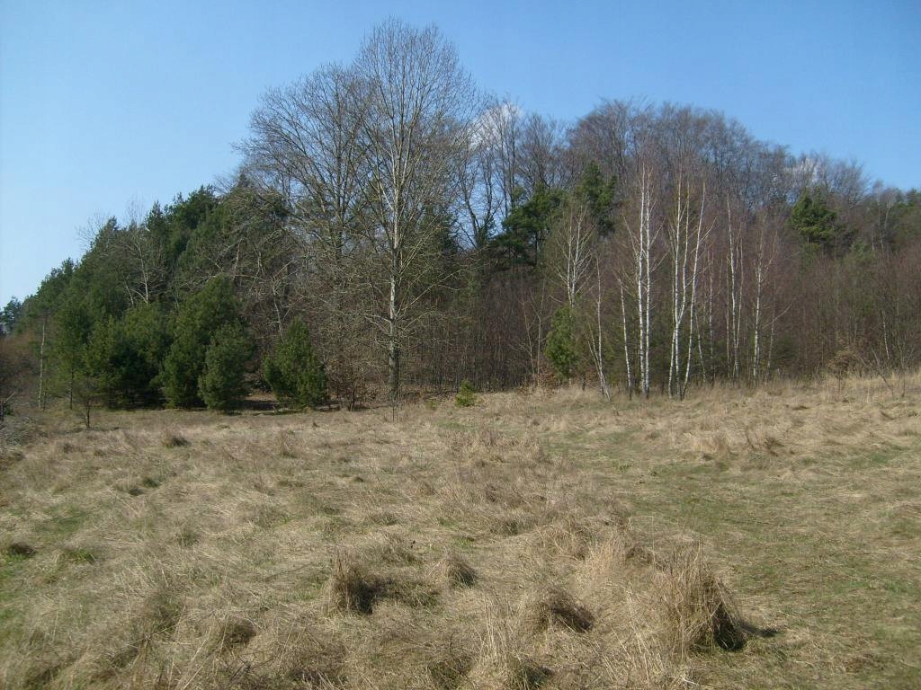 Działka, Grabowa, Łazy (gm.), 2035 m²