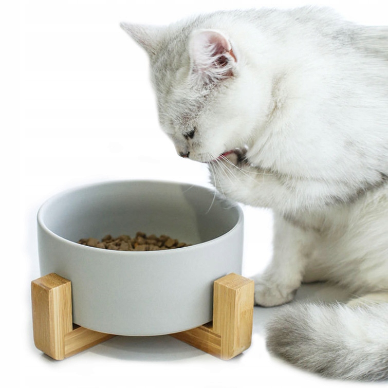 MISKA DLA PSA KOTA POJEDYNCZA ceramiczna 850 ml