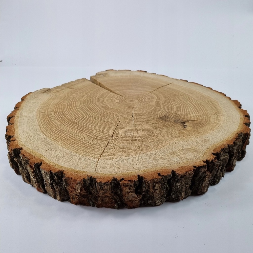 Unikatowy plaster drewna dąb 35-40/4,5 cm