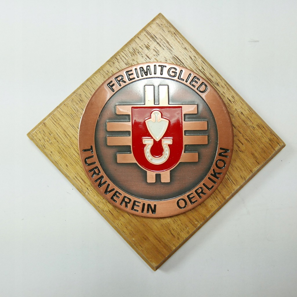 Medal SZWAJCARIA - na drewnie - G771