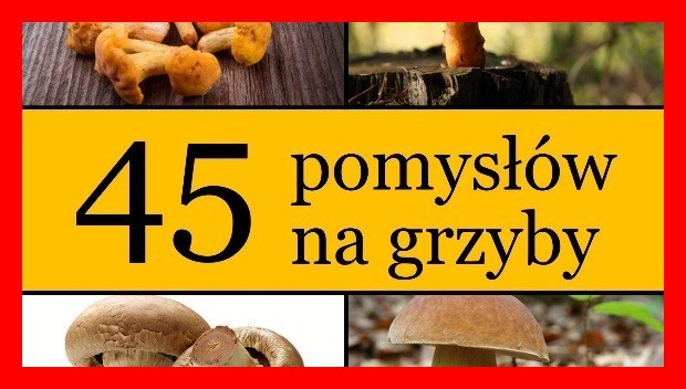 45 POTRAW Z GRZYBÓW EBOOK PDF