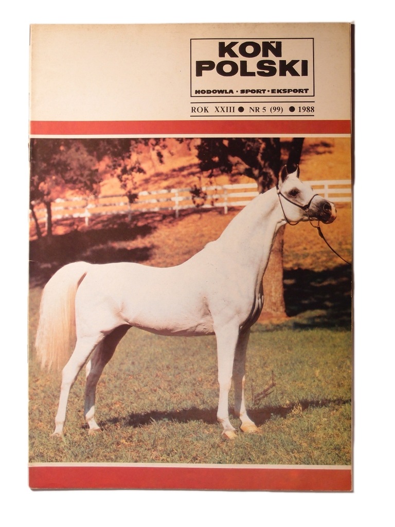 Czasopismo Koń Polski rok XXIII nr 5 (99) 1988