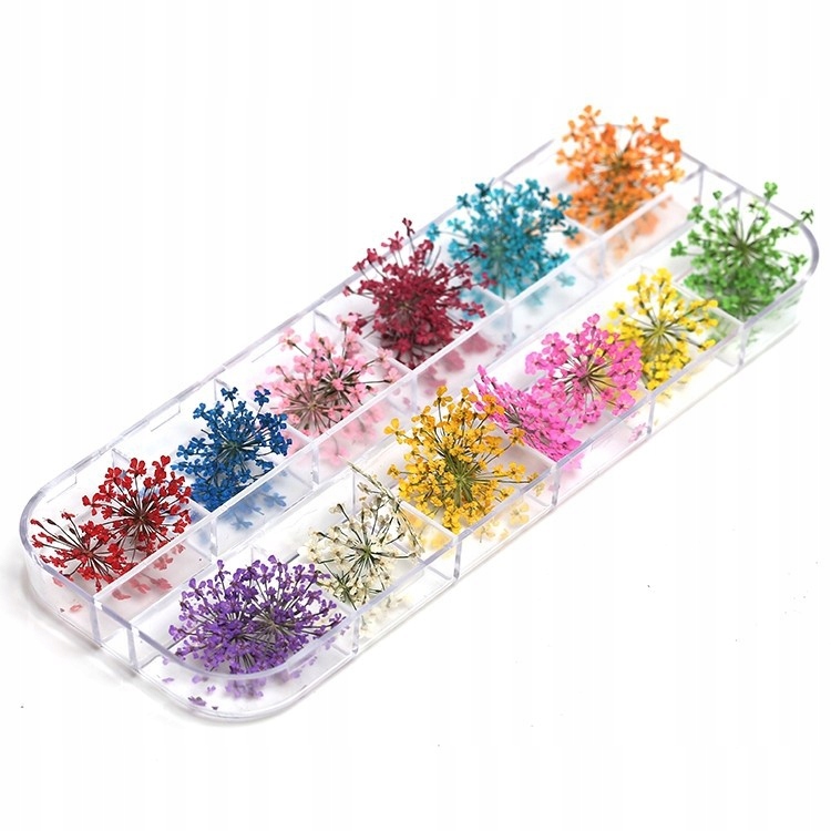 12/24/36 Prawdziwe Suszone Kwiaty 3D Nail Art