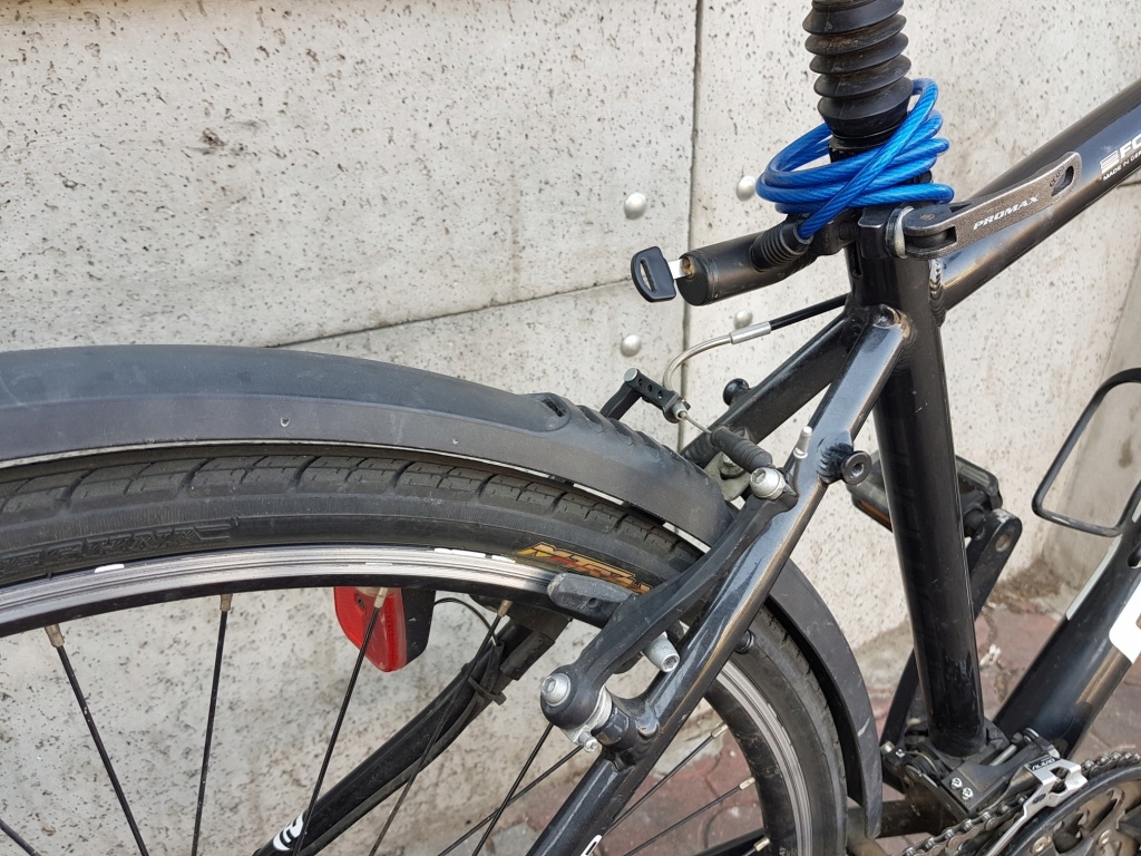 fahrrad focus black night mod.58002938