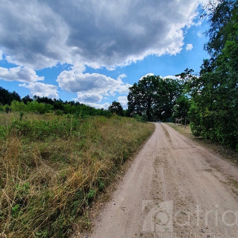 Działka, Stare Osieczno, Dobiegniew (gm.), 835 m²