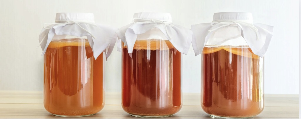 Kombučios SCOBY grybas su starteriu 8–9 cm namams nuotrauka 5