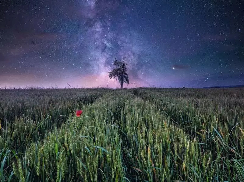 Puzzle Vzdělávací skládačka pro Děti Sada Pole a návštěvy Logická hra
