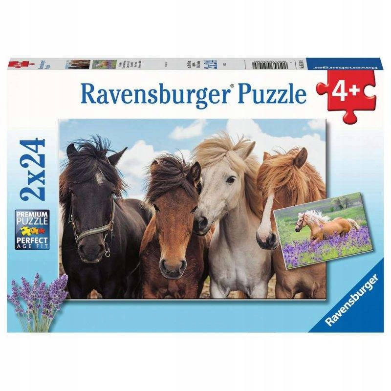 Vzdělávací Skládačka pro děti 2x24 dílků Koně Puzzle tradiční
