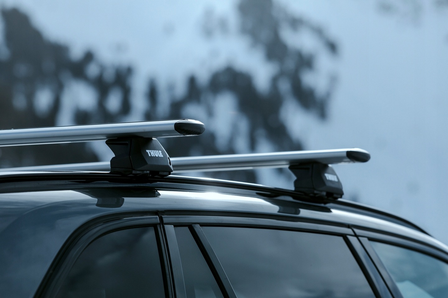 Thule 7106 online