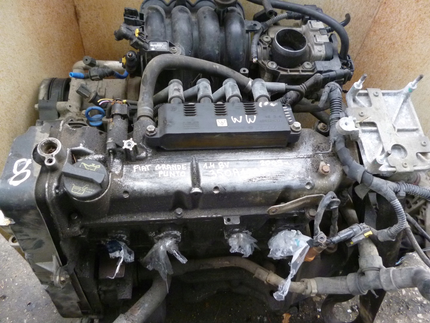 Fiat 1.4 8v engine deals