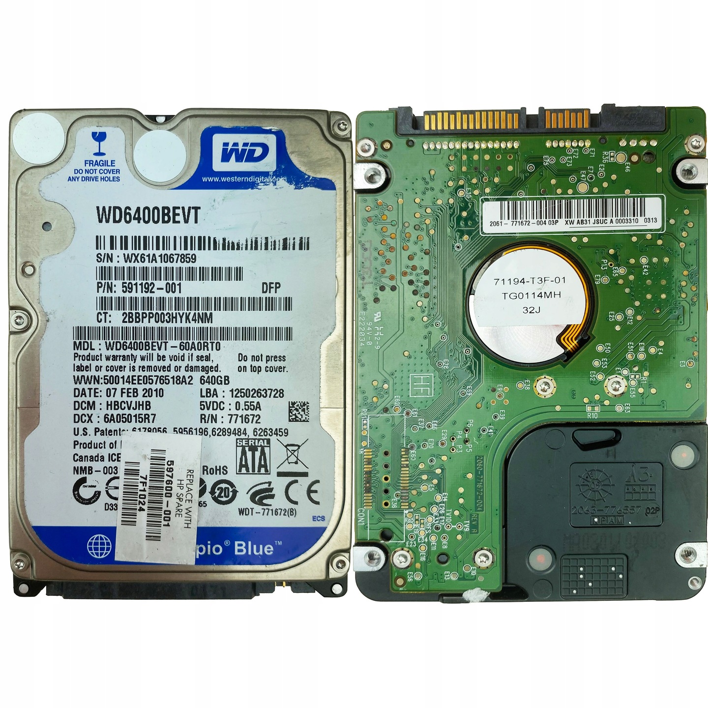 Wd6400bevt shop