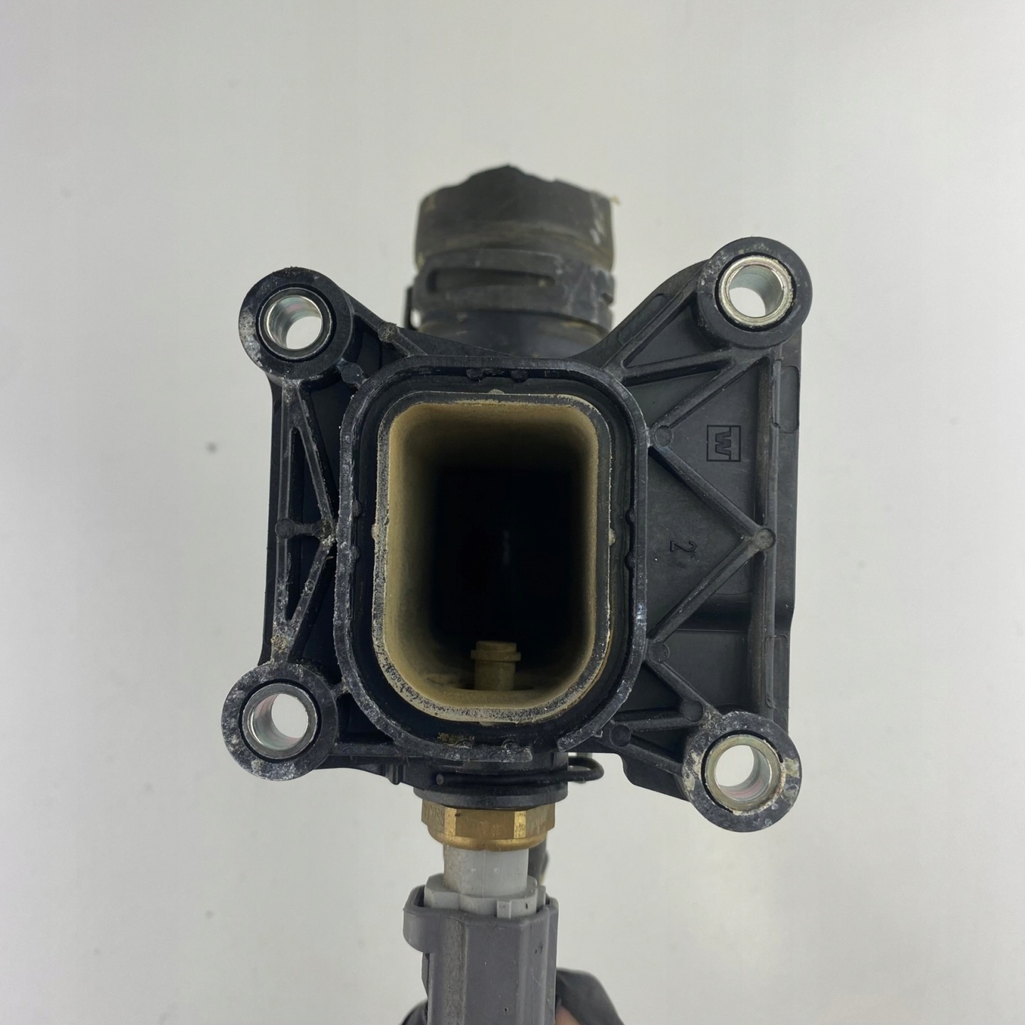 Crocodile waters ford land rover jaguar 2.0 - Easy Online Shopping  