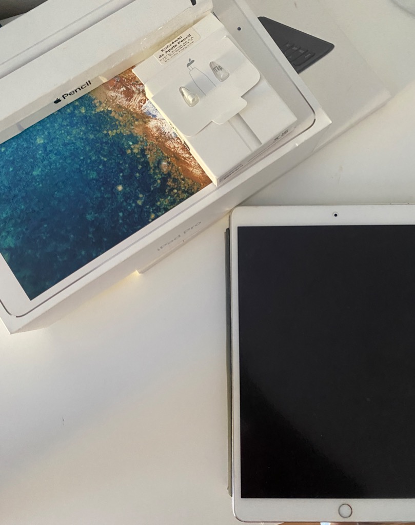 iPad pro 10.5インチ　64GB　apple pencil(第1世代) Apple Pencil（第1世代）【12.9インチ iPad Pro(第2/1世代)・10.5