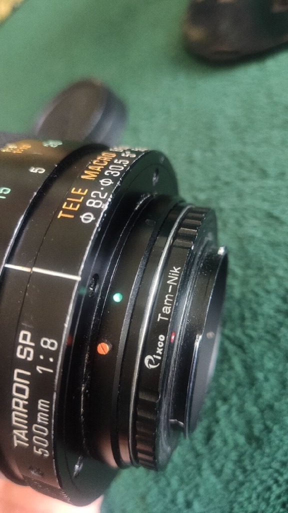 タムロン SP 500mm f/8 TELE MACRO BBAR MC TAMRON SP 500mm F/8（55B）はおすすめできないけど、野鳥撮影にも使え