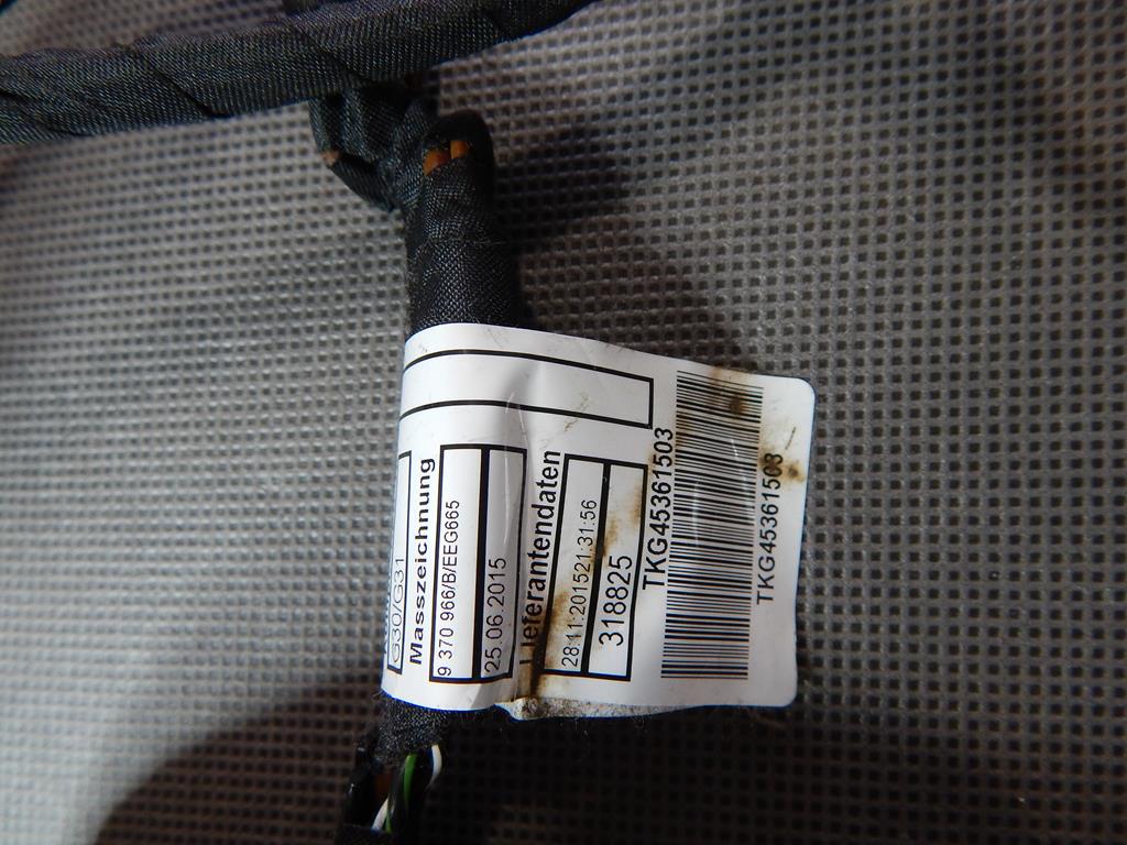 BMW 5 G30 Kabelbaum Tür links heck 45361503