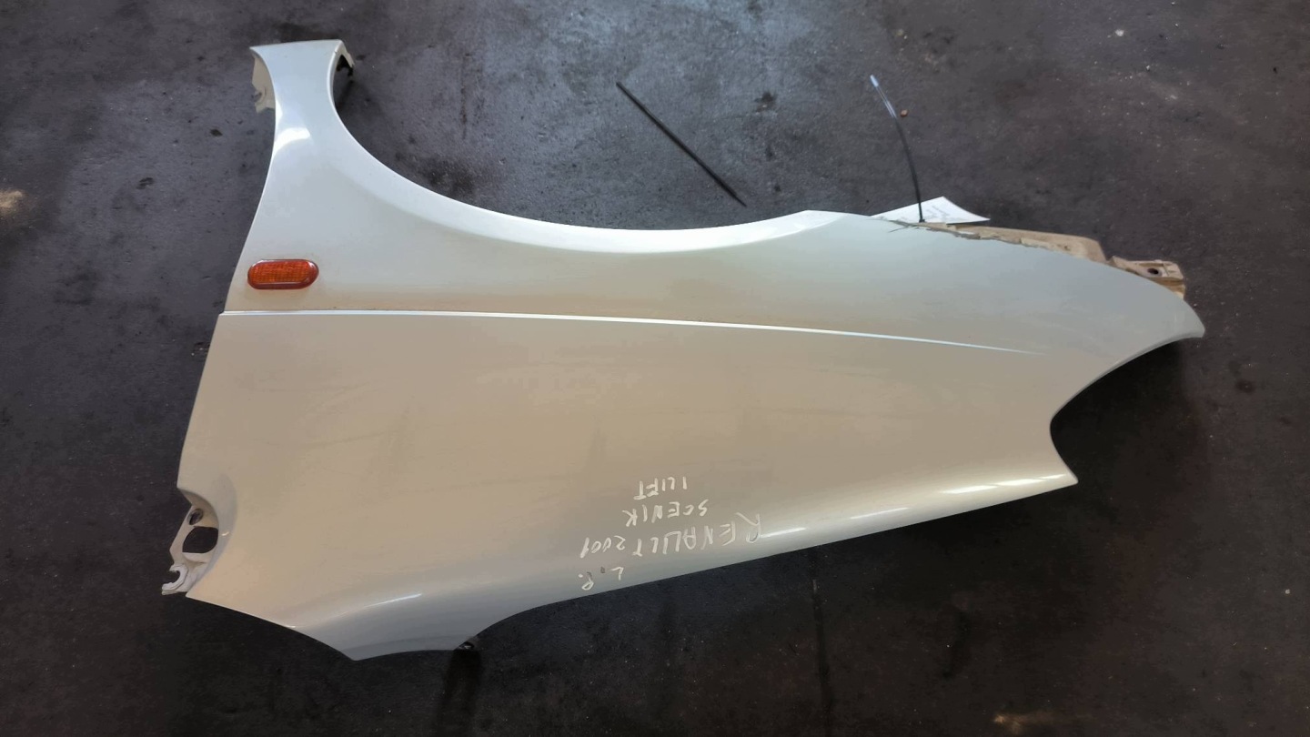 fender left front RENAULT SCENIC and LIFT