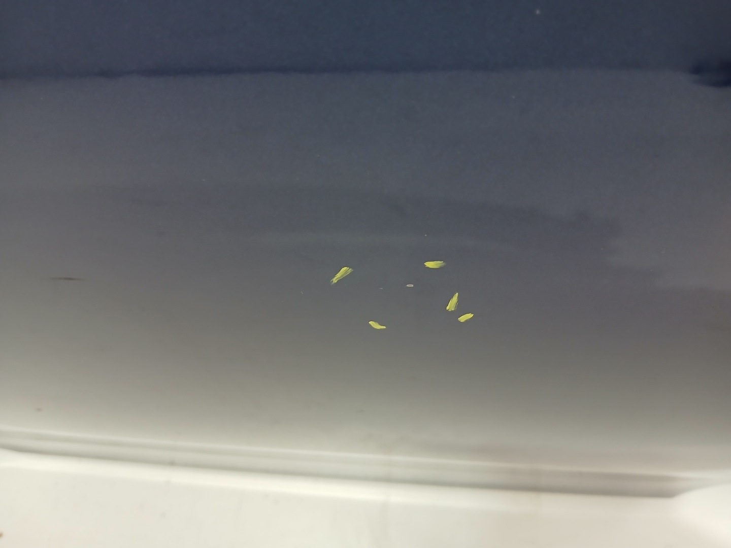 door right rear. BMW E61 381 LE MANS BLAU