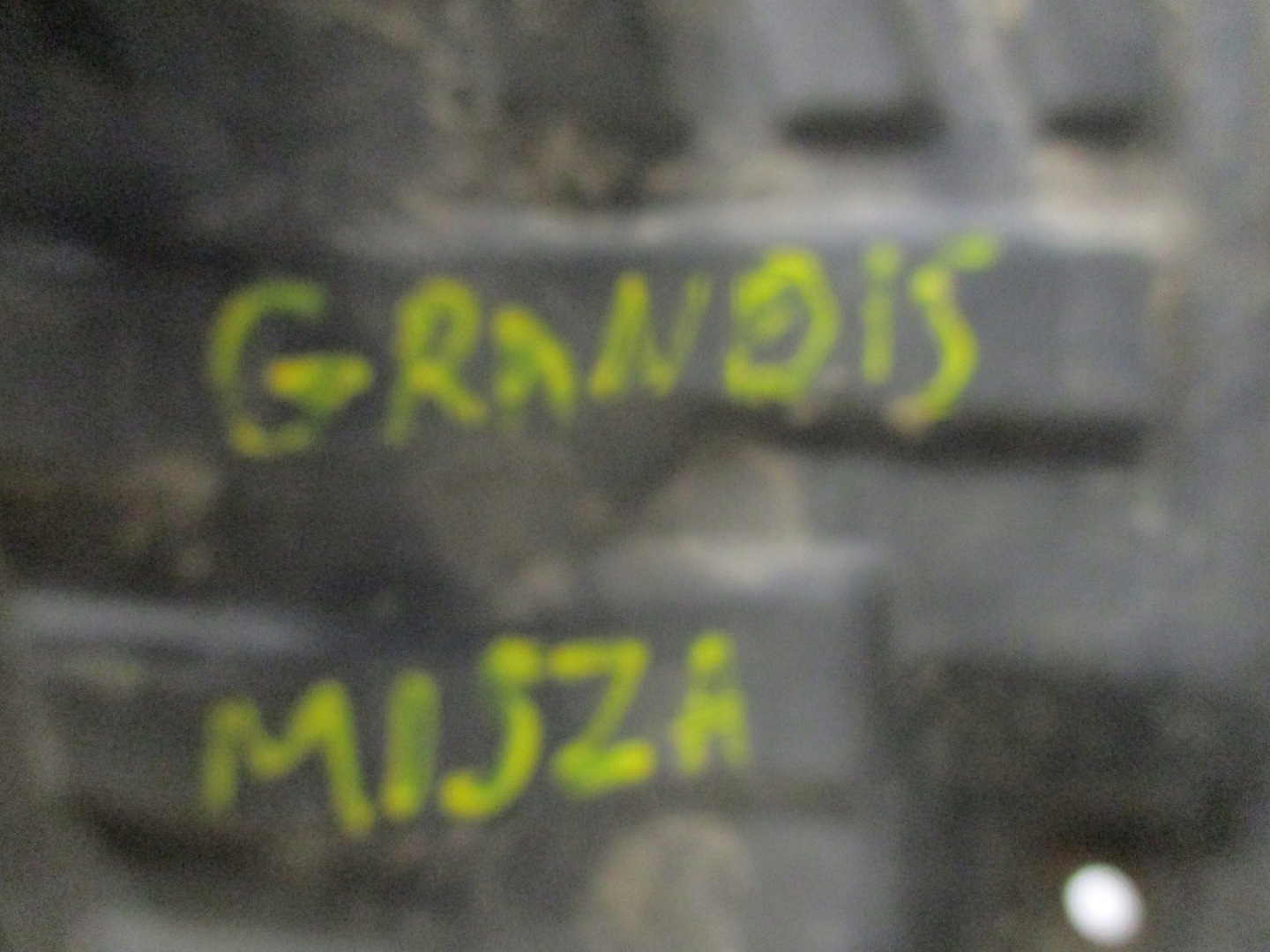 Radschale MITSUBISHI GRANDIS MN145580