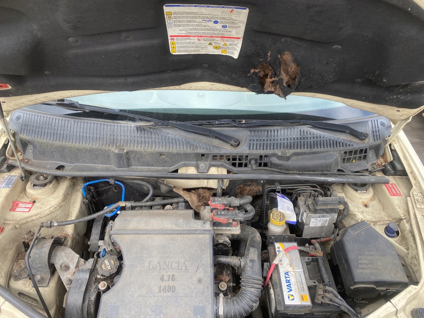 Lancia Ypsilon 03-09 torpedo