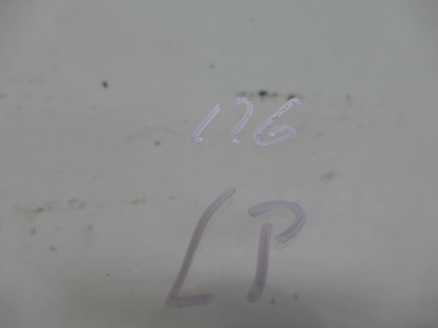 MERCEDES S W126 window door left front front