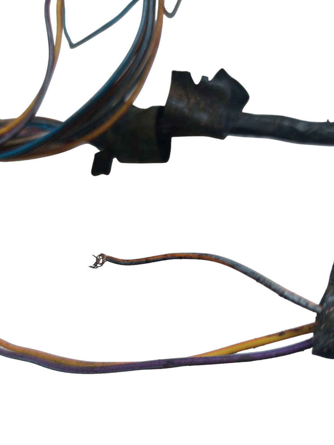 bundle wiring PDC HALOGENOW FORD C-MAX MK2 AV6T-15K867-AED