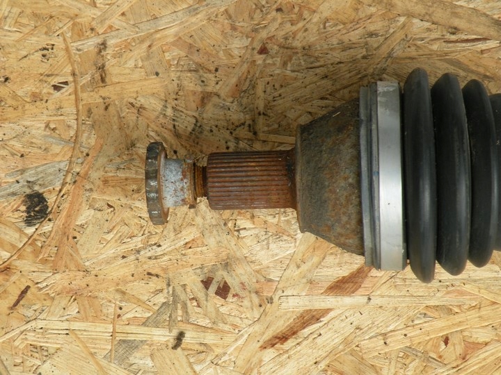 shock absorber SKODA FABIA front SKODA